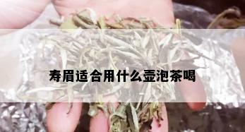 寿眉适合用什么壶泡茶喝