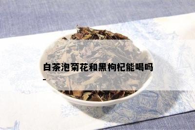 白茶泡菊花和黑枸杞能喝吗-