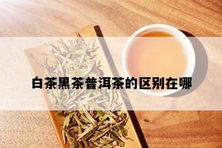 白茶黑茶普洱茶的区别在哪