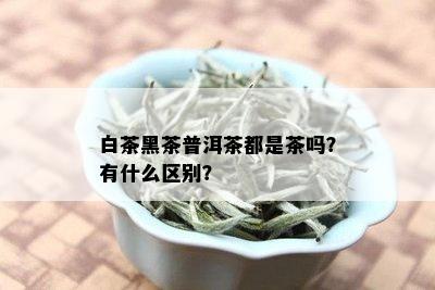 白茶黑茶普洱茶都是茶吗？有什么区别？