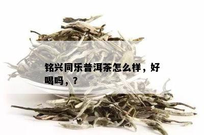 铭兴同乐普洱茶怎么样，好喝吗，？