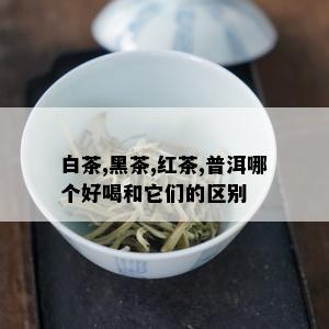 白茶,黑茶,红茶,普洱哪个好喝和它们的区别