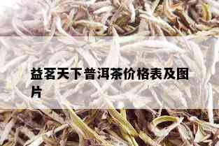 益茗天下普洱茶价格表及图片