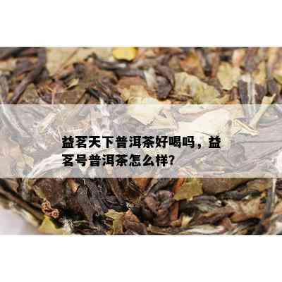 益茗天下普洱茶好喝吗，益茗号普洱茶怎么样？