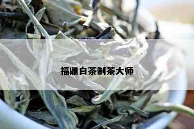 福鼎白茶制茶大师