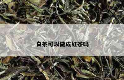 白茶可以做成红茶吗