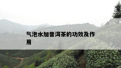 气泡水加普洱茶的功效及作用