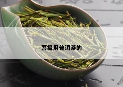 菩提用普洱茶的