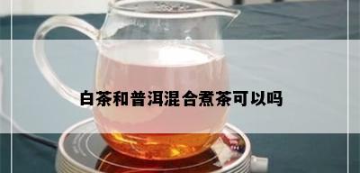 白茶和普洱混合煮茶可以吗