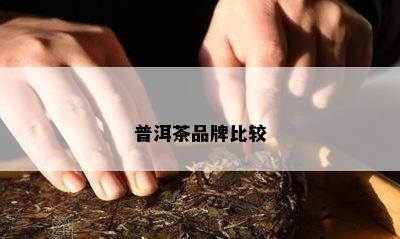 普洱茶品牌比较