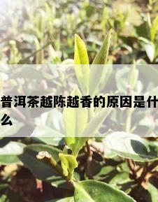 普洱茶越陈越香的原因是什么