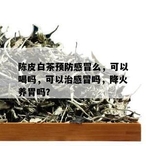 陈皮白茶预防感冒么，可以喝吗，可以治感冒吗，降火养胃吗？