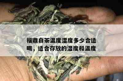 福鼎白茶温度湿度多少合适喝，适合存放的湿度和温度