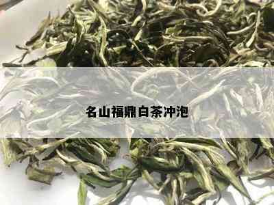 名山福鼎白茶冲泡