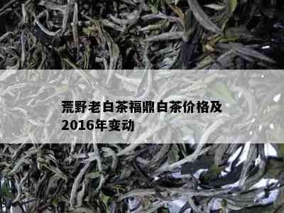 荒野老白茶福鼎白茶价格及2016年变动