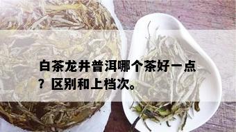 白茶龙井普洱哪个茶好一点？区别和上档次。