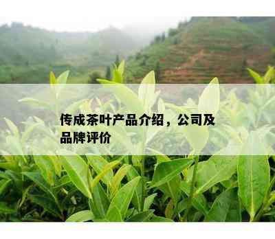 传成茶叶产品介绍，公司及品牌评价