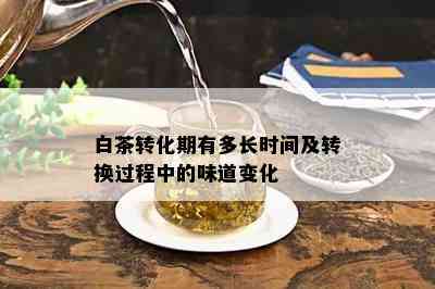 白茶转化期有多长时间及转换过程中的味道变化