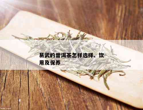 易武的普洱茶怎样选择、饮用及保养