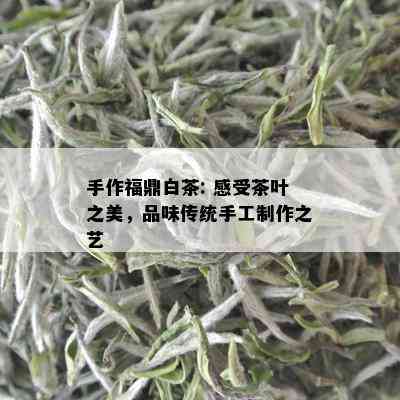 手作福鼎白茶: 感受茶叶之美，品味传统手工制作之艺