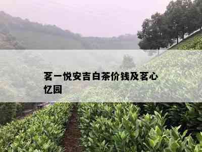 茗一悦安吉白茶价钱及茗心忆园