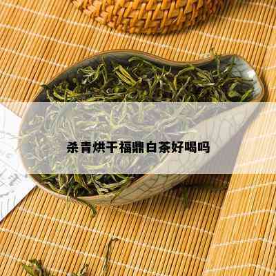 杀青烘干福鼎白茶好喝吗