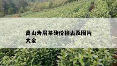 高山寿眉茶砖价格表及图片大全