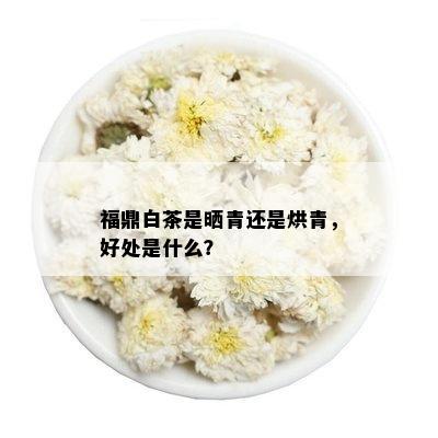 福鼎白茶是晒青还是烘青，好处是什么？