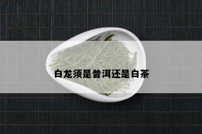 白龙须是普洱还是白茶