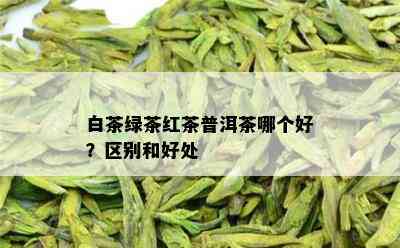 白茶绿茶红茶普洱茶哪个好？区别和好处