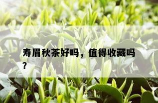 寿眉秋茶好吗，值得收藏吗？