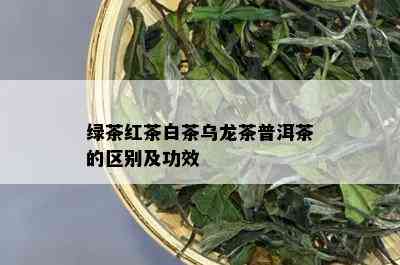 绿茶红茶白茶乌龙茶普洱茶的区别及功效