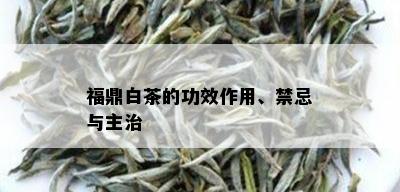 福鼎白茶的功效作用、禁忌与主治