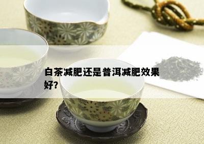 白茶减肥还是普洱减肥效果好？