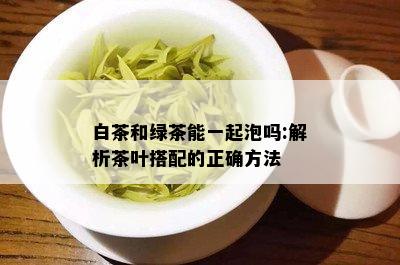 白茶和绿茶能一起泡吗:解析茶叶搭配的正确方法