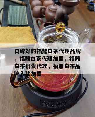 口碑好的福鼎白茶代理品牌，福鼎白茶代理加盟，福鼎白茶批发代理，福鼎白茶品牌入驻加盟