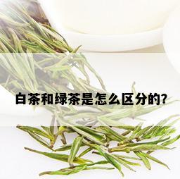 白茶和绿茶是怎么区分的？