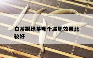 白茶跟绿茶哪个减肥效果比较好