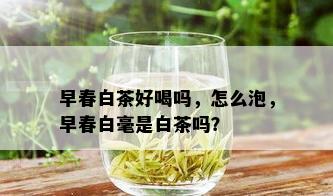 早春白茶好喝吗，怎么泡，早春白毫是白茶吗？