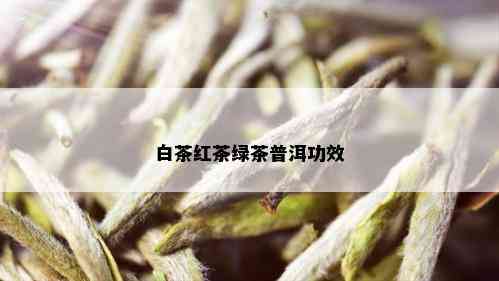 白茶红茶绿茶普洱功效