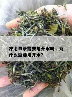 冲泡白茶需要用开水吗，为什么需要用开水？