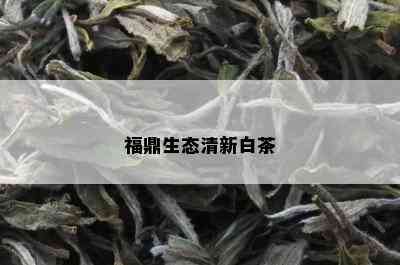 福鼎生态清新白茶