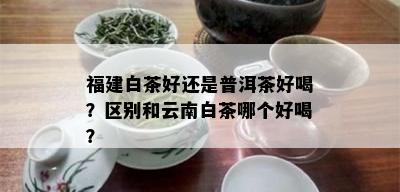 福建白茶好还是普洱茶好喝？区别和云南白茶哪个好喝？