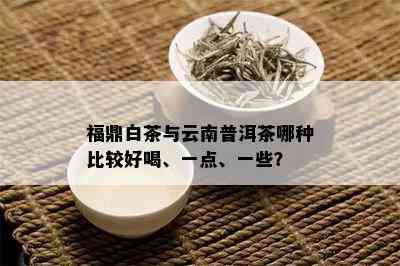 福鼎白茶与云南普洱茶哪种比较好喝、一点、一些？