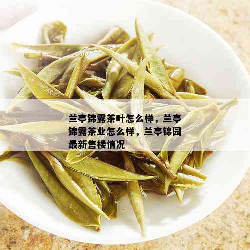 兰亭锦露茶叶怎么样，兰亭锦露茶业怎么样，兰亭锦园最新售楼情况