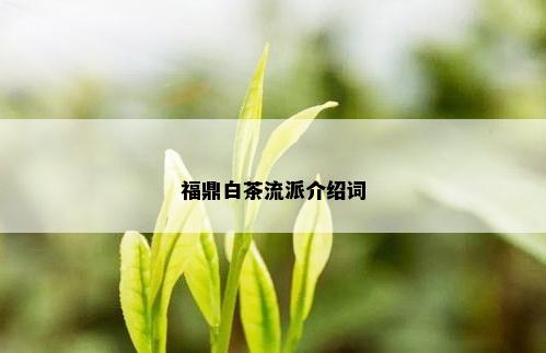 福鼎白茶流派介绍词