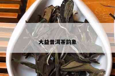 大益普洱茶韵象