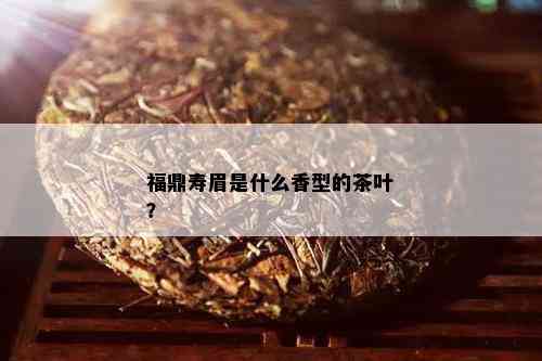 福鼎寿眉是什么香型的茶叶？