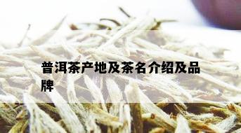 普洱茶产地及茶名介绍及品牌