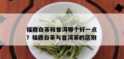 福鼎白茶和普洱哪个好一点？福鼎白茶与普洱茶的区别